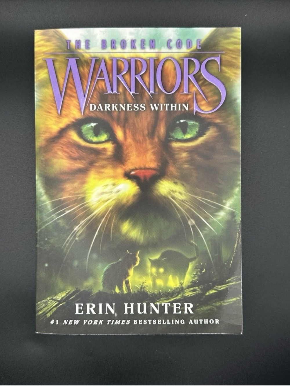 Warriors: Darkness Within by Erin Hunter - Book four
